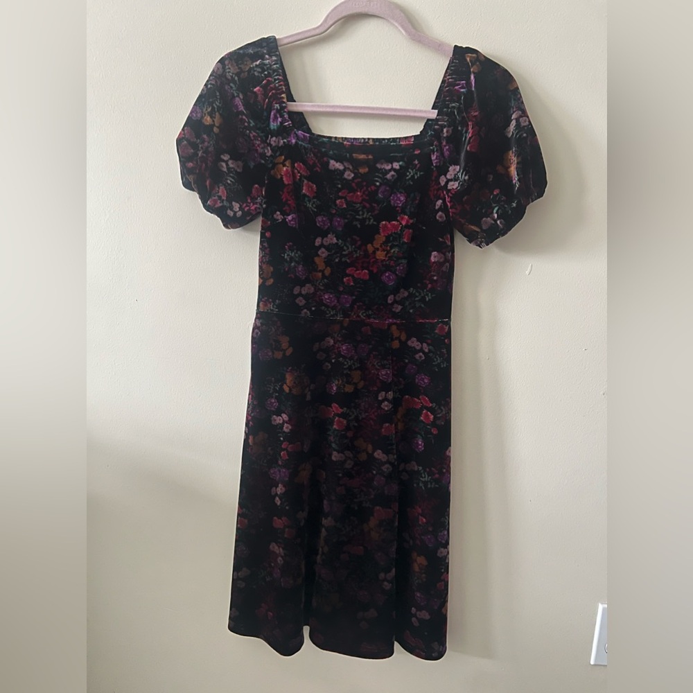 Autumn floral 00P dress from Loft